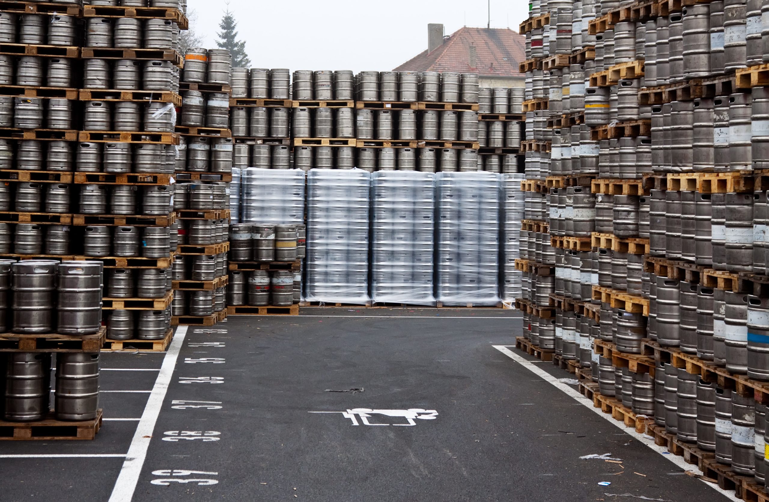 Beer kegs stored in rows with pallets.